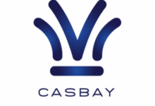 Casbay马来西亚 KVM VPS/独立服务器/不限流量/新增 Mac mini M4/$109/月起-主机对策